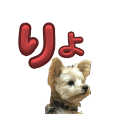 Vivi_20251017205934