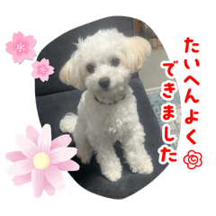Emi_20251018005439