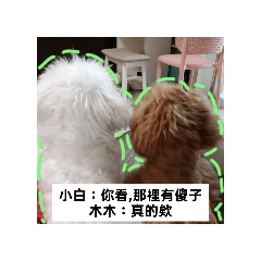 白木二狗組（2）