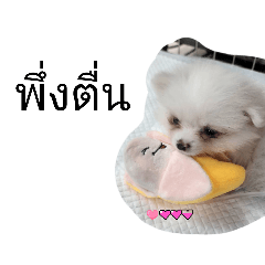 thankhun_20251017155152