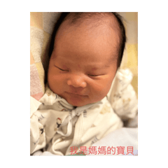 我是肉包  肉包是我