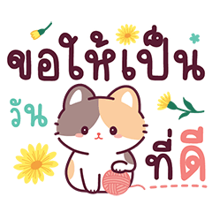 เจ้าเหมียวซาซ่า2