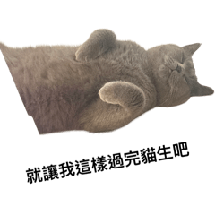 罵丸一生就這樣