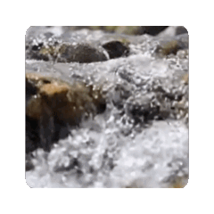 AI CLEAN FRESH WATER DYNAMIC STICKER.