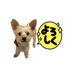 Vivi_20251017214337
