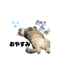 omochi_20251018101500