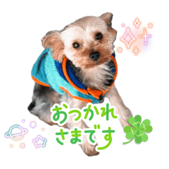 MIZUKI_20251017225231