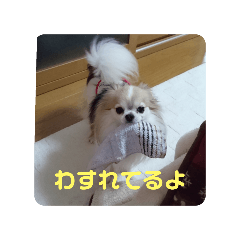 mokachiro_20251018112549