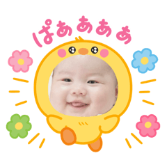 torocham_20251017221932