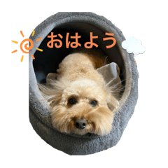 yukinko_20251018120109