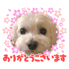emi_20251018120154
