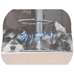 Shu&Kai's stamp part.2