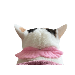 ryozie_20251018125139