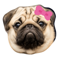 chanapha_20251017224008