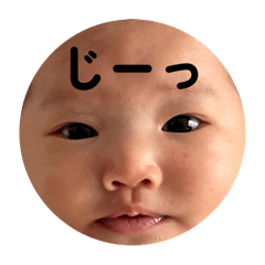pontatodaichan_20251018144649