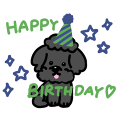 トイプードルくんの日常