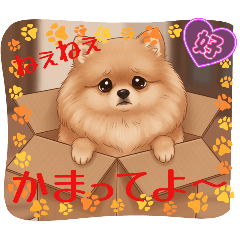 sakura_20251018153723