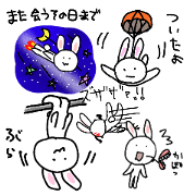 40 Funny rabbit 2