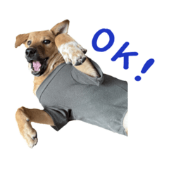 Hikari_20251018165625