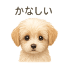 DAICHI_20251018172342