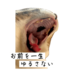 you_20251018180711