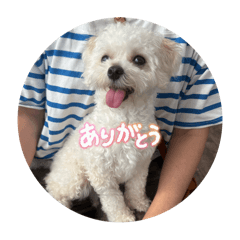 sakura_20251018193200