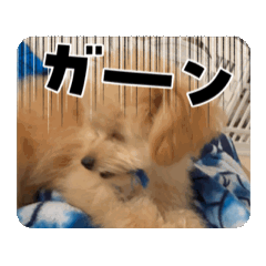 ayu_20251018213129