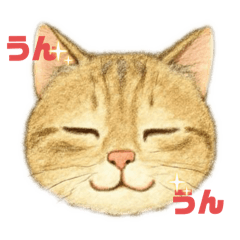 mako mako_20251018213159