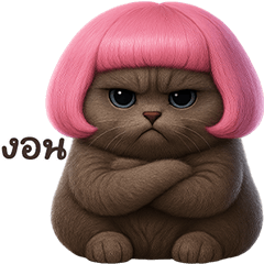 ❤️แมวเทา ม้าเต่อชมพู❤️