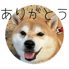 HIMAWARI_20251018220856