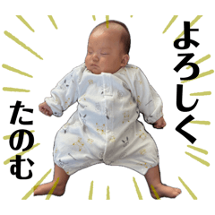 marina_20251019015924