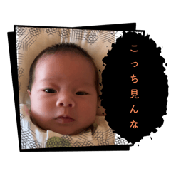 usamaru_20251018211834