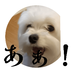 hana_20251019090453