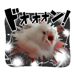 KAORI_20251018200320