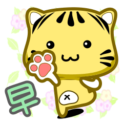 可愛條紋小貓貓!!!CAT22