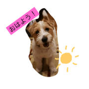 kichi&subaru