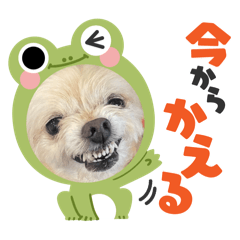 chika_20251019011728