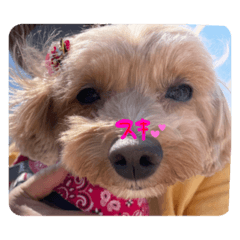 Amity_20251019010008