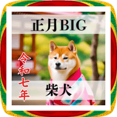 可愛い柴犬のBIG年賀状