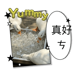 潼的第一個貼圖