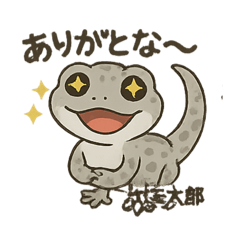 tommy_20251019081403