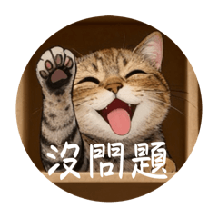 老大貓生活日常