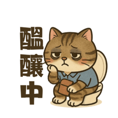 貓貓醞釀中-日常