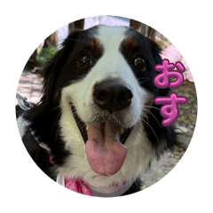 BANIKO_20251018233337