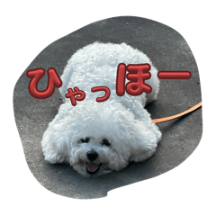 Makoto_20251019105244