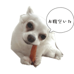 tomomi_20251018235221