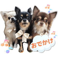 chiwawan_20251018234909