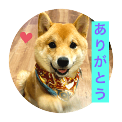 CHIKUWA_20251018225147