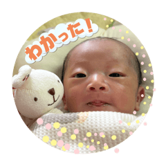 masshu_20251019122002