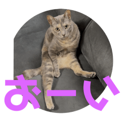 Makoto_20251019123704